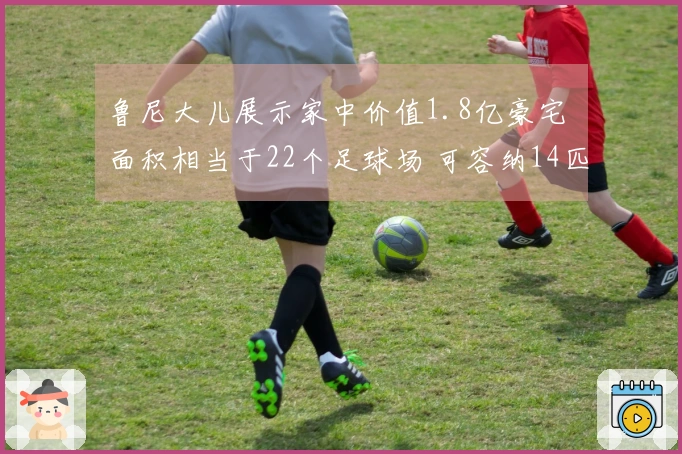 鲁尼大儿展示家中价值1.8亿豪宅 面积相当于22个足球场 可容纳14匹马长子接手家族事业
