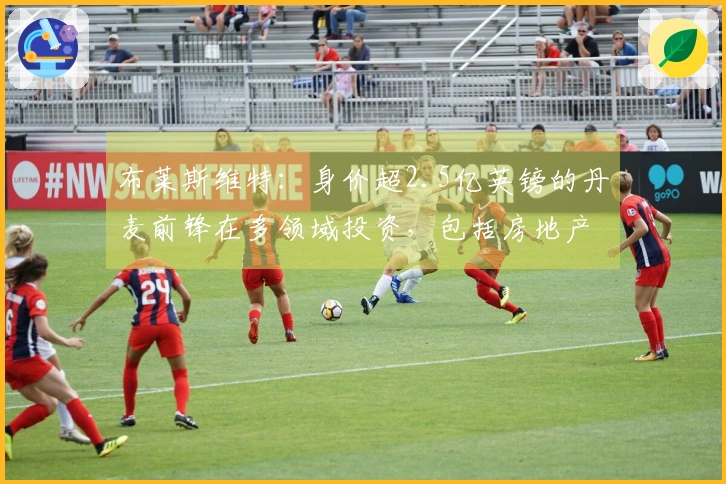 布莱斯维特：身价超2.5亿英镑的丹麦前锋在多领域投资，包括房地产、餐饮和Web3